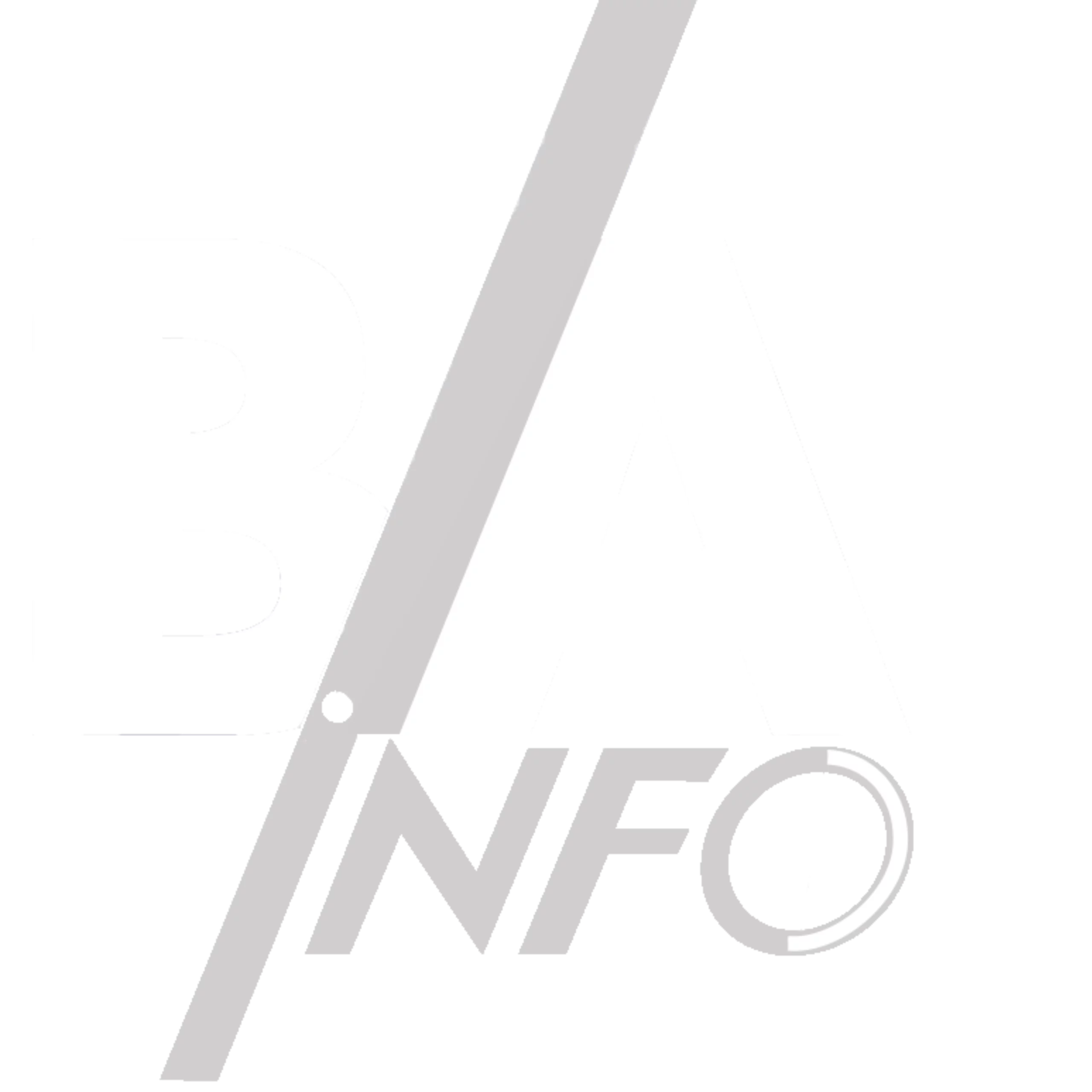 Logo BA Info blanc et gris